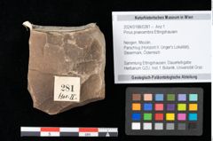Foto (Objekt + Etikett) von Pinus praecembra Ettingshausen (NHMW-GEO-2024-0188-0281)